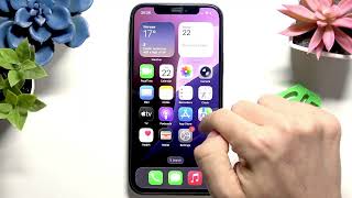 iPhone – Why Am I Not Getting Group Messages?