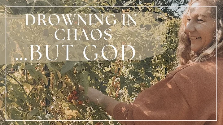 5 Biblical Habits that Brought Order to My Life After Stress & Anxiety