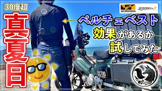 Serious Test] Workman's Peltier Vest is a controversial product