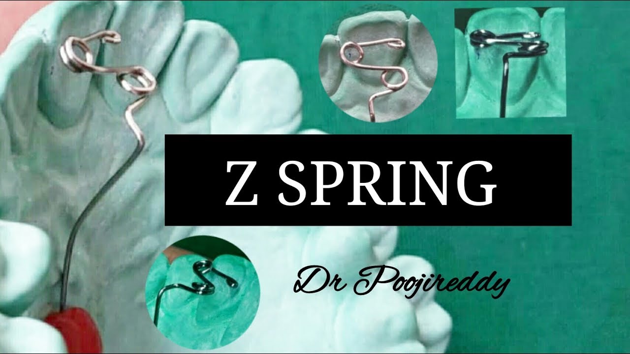 Z spring orthodontics Orthodontic wire bending Dr poojireddy YouTube