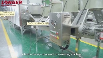 Coated Peanut Process Machine/Peanut Roasting Machine/Peanut Coating Machine/Swing Oven