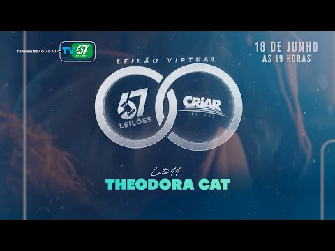 11   THEODORA CAT