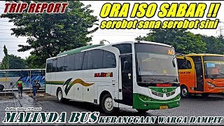 TRIP REPORT - ORA ISO SABAR !! HAMPIR NYENGGOL TRUK. NAIK BIS MALINDA SURABAYA-MALANG SUOSSS LARINYA
