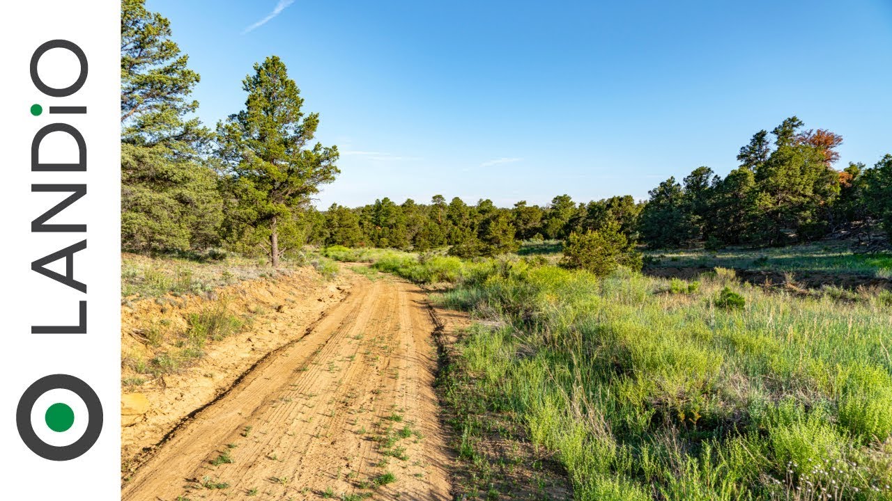 SOLD by LANDiO • Land in New Mexico • 4.56 Acre Wooded Homesite YouTube