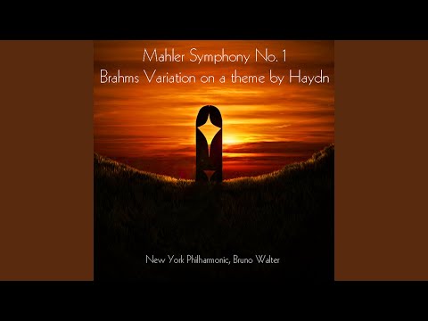 Παρακολούθηση Variations on a Theme by Haydn in B-Flat Major, Op. 56a: No. 8 Variation VII. Grazioso στο YouTube