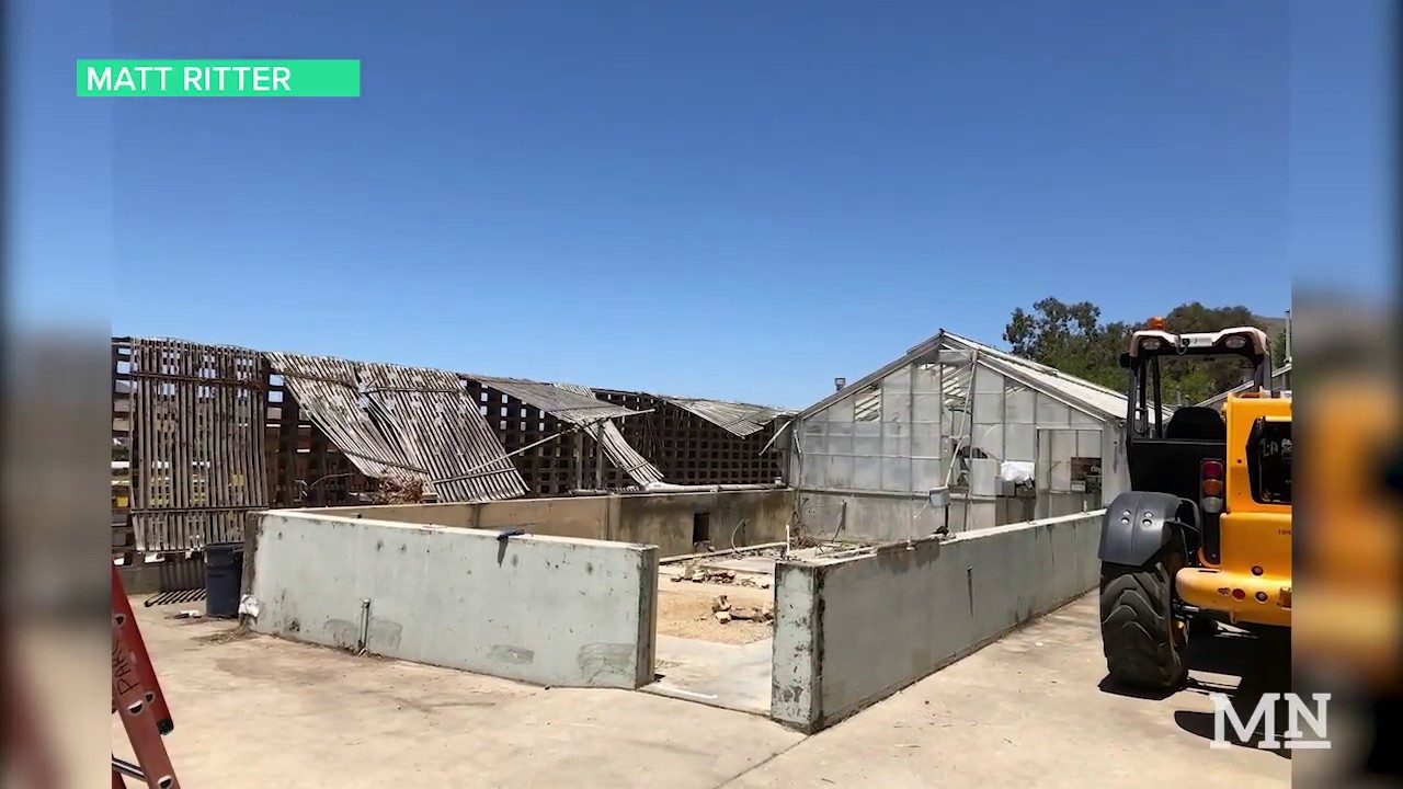 The New And Improved Cal Poly Plant Conservatory YouTube the-new-and-improved-cal-poly-plant-conservatory-youtube