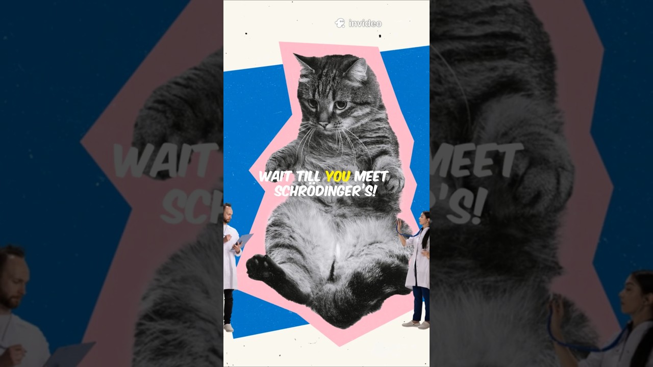 😳Both Dead and Alive? 🤯🐈