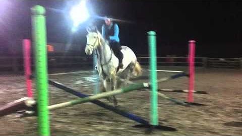 Jumping Lesson [Grid Work 3]