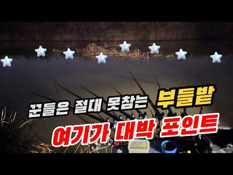 #붕어낚시 // 꾼들은 절대 못참는 부들밭// 여기가 대박 포인트 //
