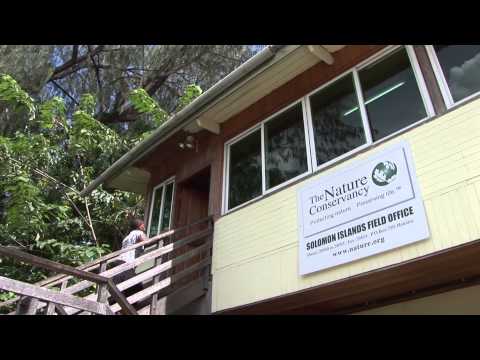 Home for the Hawksbill