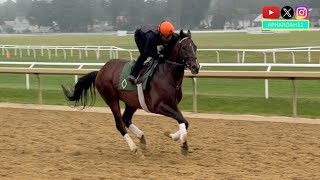 Sovereignty Trains for the 2025 Jim Dandy Stakes