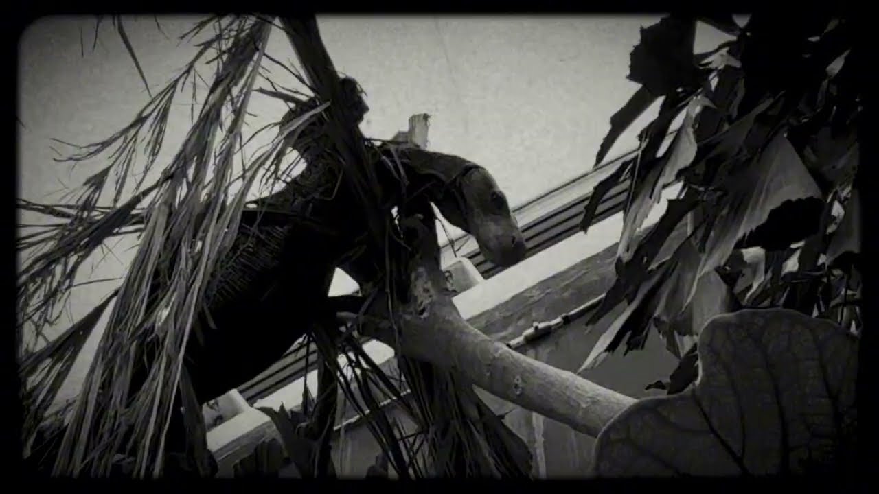 Marwell Zoo tropical house