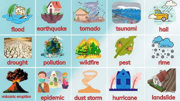 Bé học tiếng Anh chủ đề Thảm họa - Thiên tai | Disaster - Natural Disaster | Oh Vui Kids