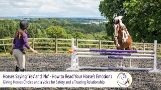 Horses Saying 'Yes' and 'No' - How to Read Your Horse's Emotions by Connection Training 27,804 views 3 years ago 14 minutes, 41 seconds