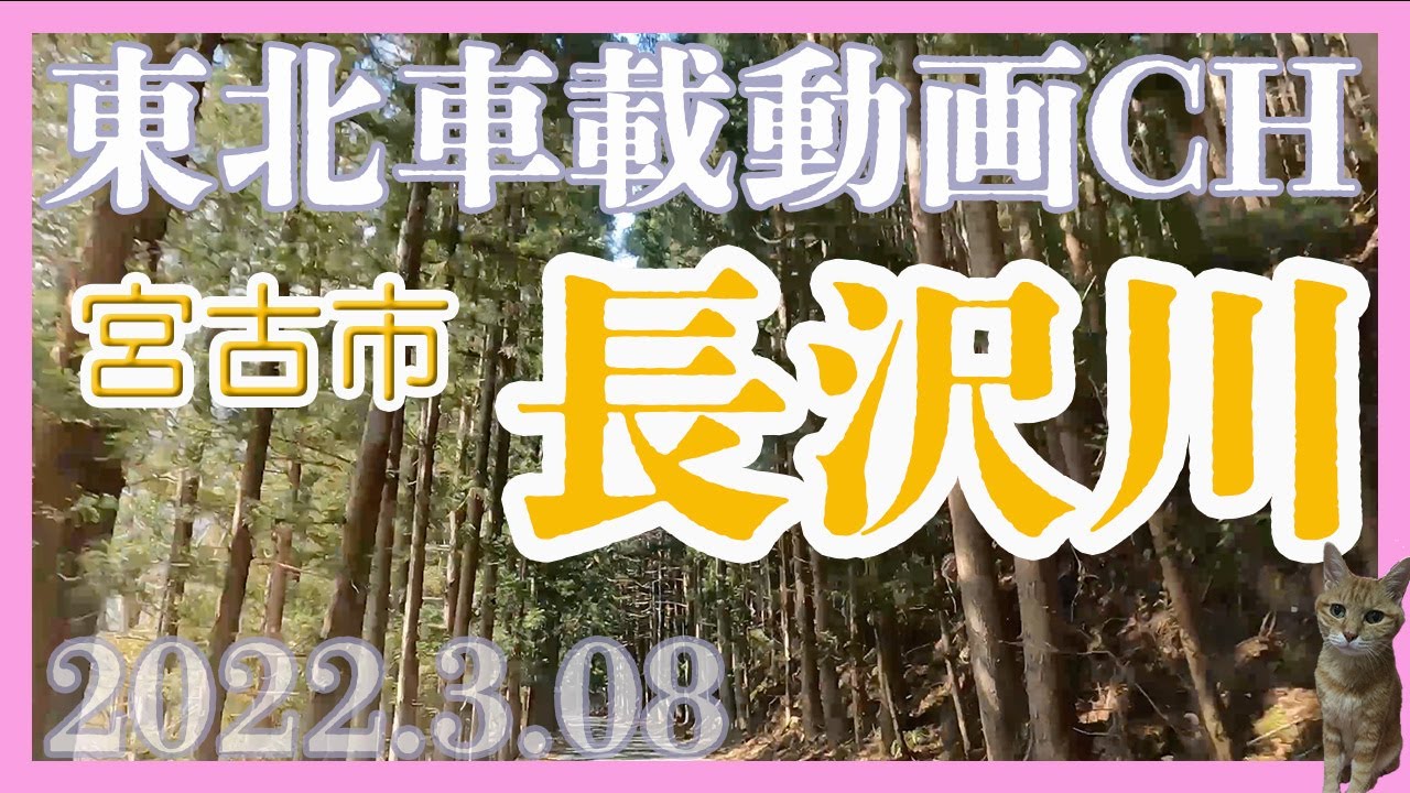 【車載動画2022.3.08】岩手県宮古市ミスドー渓流Driving Video around Miyako Iwate Japan