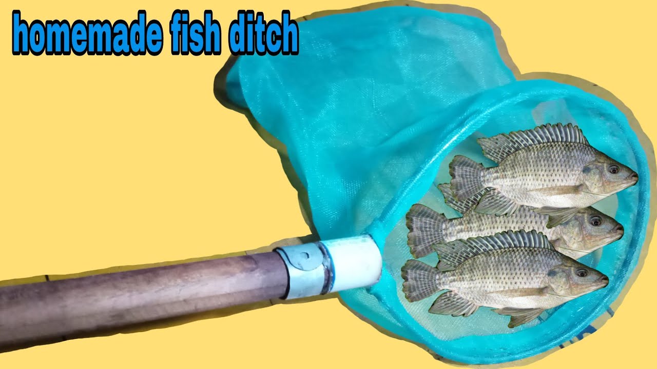 Cara membuat serokan ikan-homemade fish ditch- membuat seser ikan sendiri