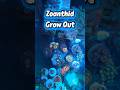 Zoa Coral Grow Tank. #zoa #zoanthids #reeftank #reeflife #aquarium #saltwatertank #coral