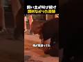 炎の中から帰ってきた家族