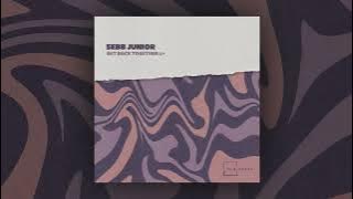Sebb Junior - Feel The Melody (Original Mix)