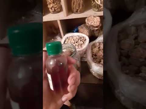 Video: Жөнөкөй, тез, ден-соолукка пайдалуу: майы бар пияз