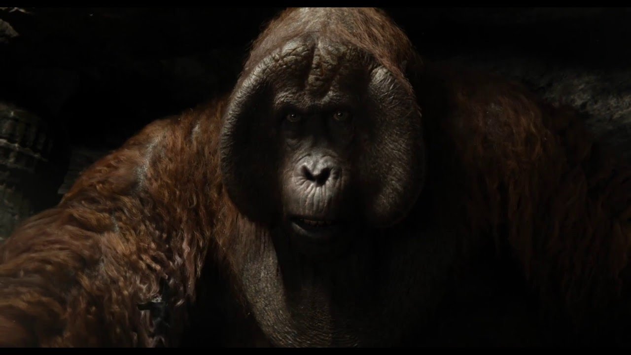 clips for crocs Disney's The Jungle Book | Discovery Tech | Available on Blu-ray, DVD and Digital NOW