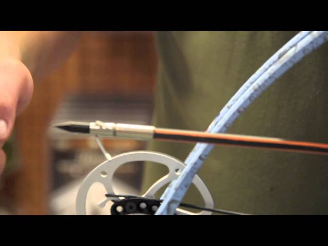 Alpine Mako Bowfishing Bow Set Up *Top of the Line* Customized by