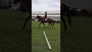 Britiannia Penny video