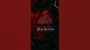 تلاوة محبرة للشيخ سيد سعيد #quran