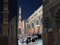 عاشق جمال يانبي