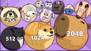 MERGE CAPYBARA 3D - ASMR Gameplay (Animal Drop Puzzle, Level Up Animals 2048 Math) screenshot 5