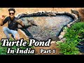 Turtle Pond Setup | Turtle Pond in India | Turtle Pond Backyard |Turtle Pond Making | Turtle Pond 🐢