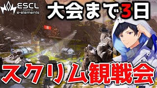 【神視点】残り3日本番想定プロスクリムBvsC　ESCL Apex Legends  【APEX】