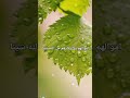 قرٱن كريم قبل النوم راحةوسكينة تلاوةخاشعة صورجميلة دمتم بخير اسطنبول تركيا
