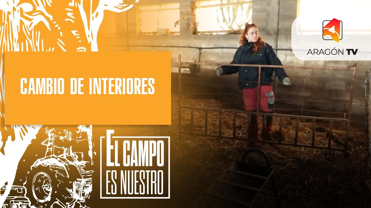 Diseño de interiores