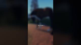 : : #NEWRP : : I had to do no sound chat 😭 #lcs #mse #strideway