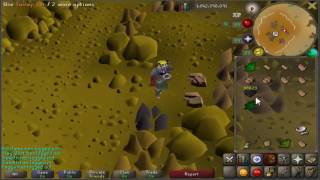 Attempting To Adapt To An Ever Changing Meta