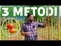 3 STRUTTURE per coltivare i POMODORI in modo PROFESSIONALE