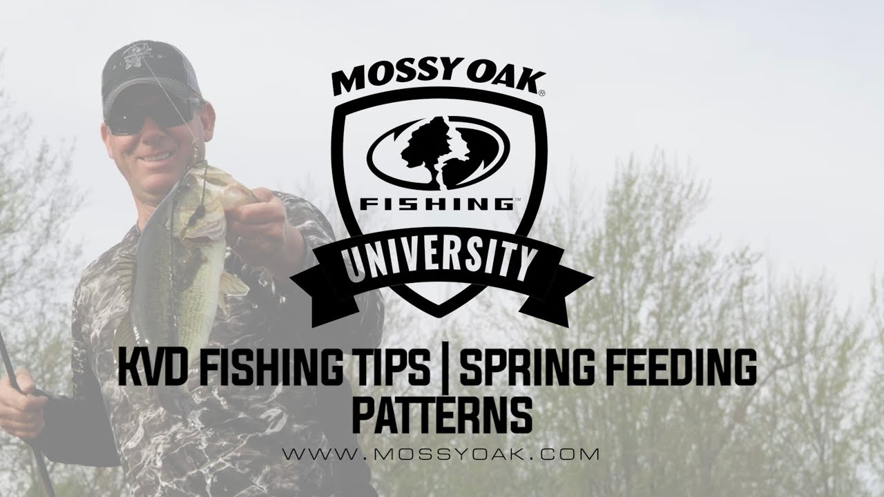 What Do Bass Eat In The Spring • KVD Fishing Tips 