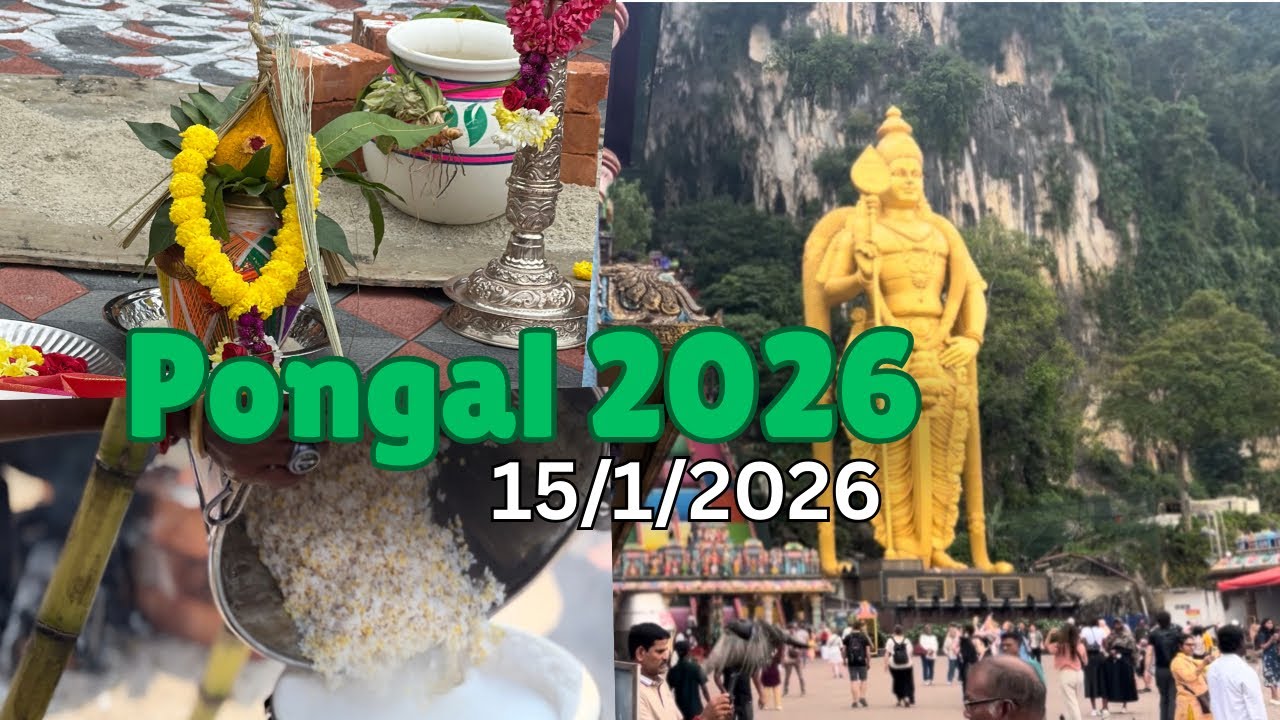 Pongal Festival 2026 at Batu Caves, Malaysia 🇲🇾 | Tamil Harvest Celebration