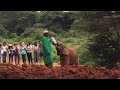 Orphelinat Sheldrick - Nairobi