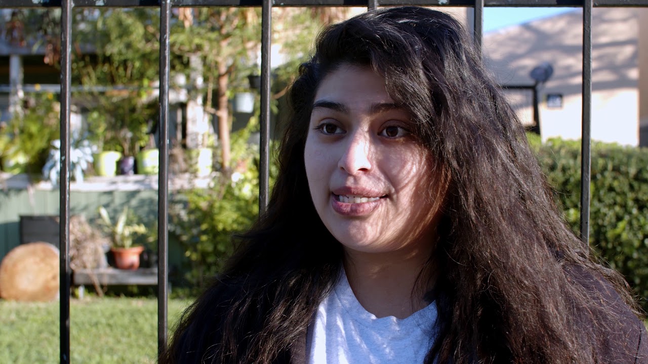 Houston PetSet's Free Spay/Neuter Services YouTube