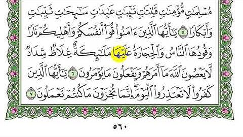 تكرار سورة التحريم الآيات من 6 إلى 7