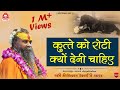 || कुत्ते को रोटी क्यों देनी चाहिए ? || Jadkhor Godham || Shri Rajendra das ji maharaj || #vrindavan