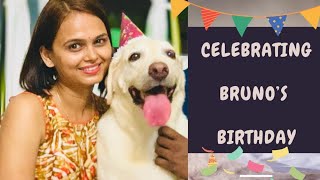 Celebrating Pet Dog's Birthday | Baking Cake For Pet Dog | Homemade Easy Healthy Dog Birthday Cake