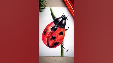Realistic Ladybug Drawing #shorts #ladybug #hyperrealism #drawing #art #trending #diy #subscribe
