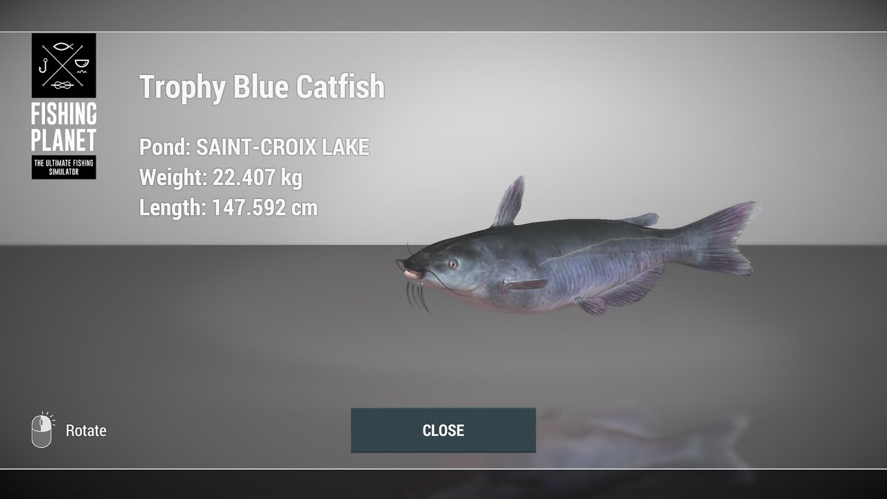 Fishing Thailand New ! 2022 Saint Croix Lake Tophy Blue