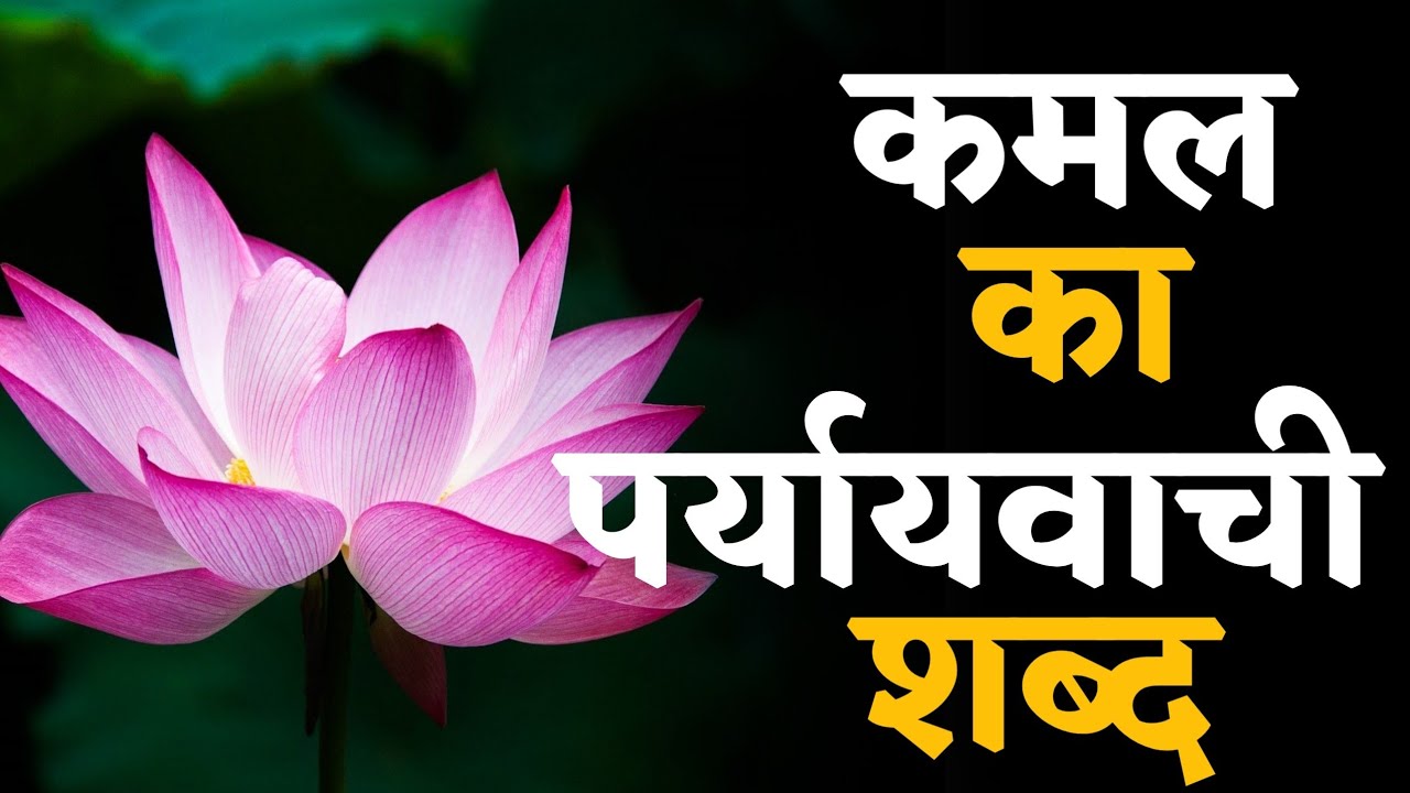 कमल का पर्यायवाची शब्द Kamal Ka Paryayvachi Shabd Bataiye YouTube