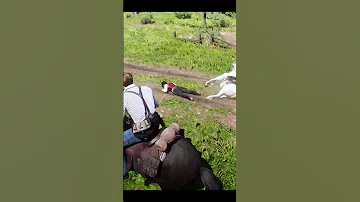 Timing Couldn T Be More Perfect Rdr2 Reddeadredemption 