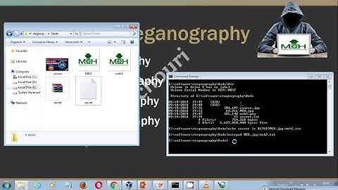 Image & Text Steganography Practical