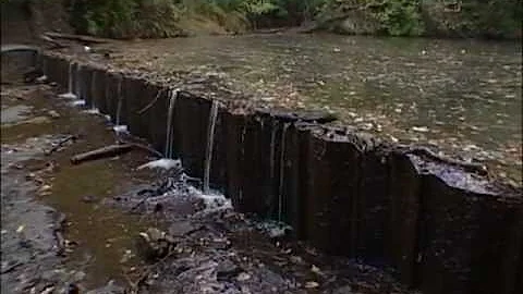 TN Wild Side-Low Head Dams